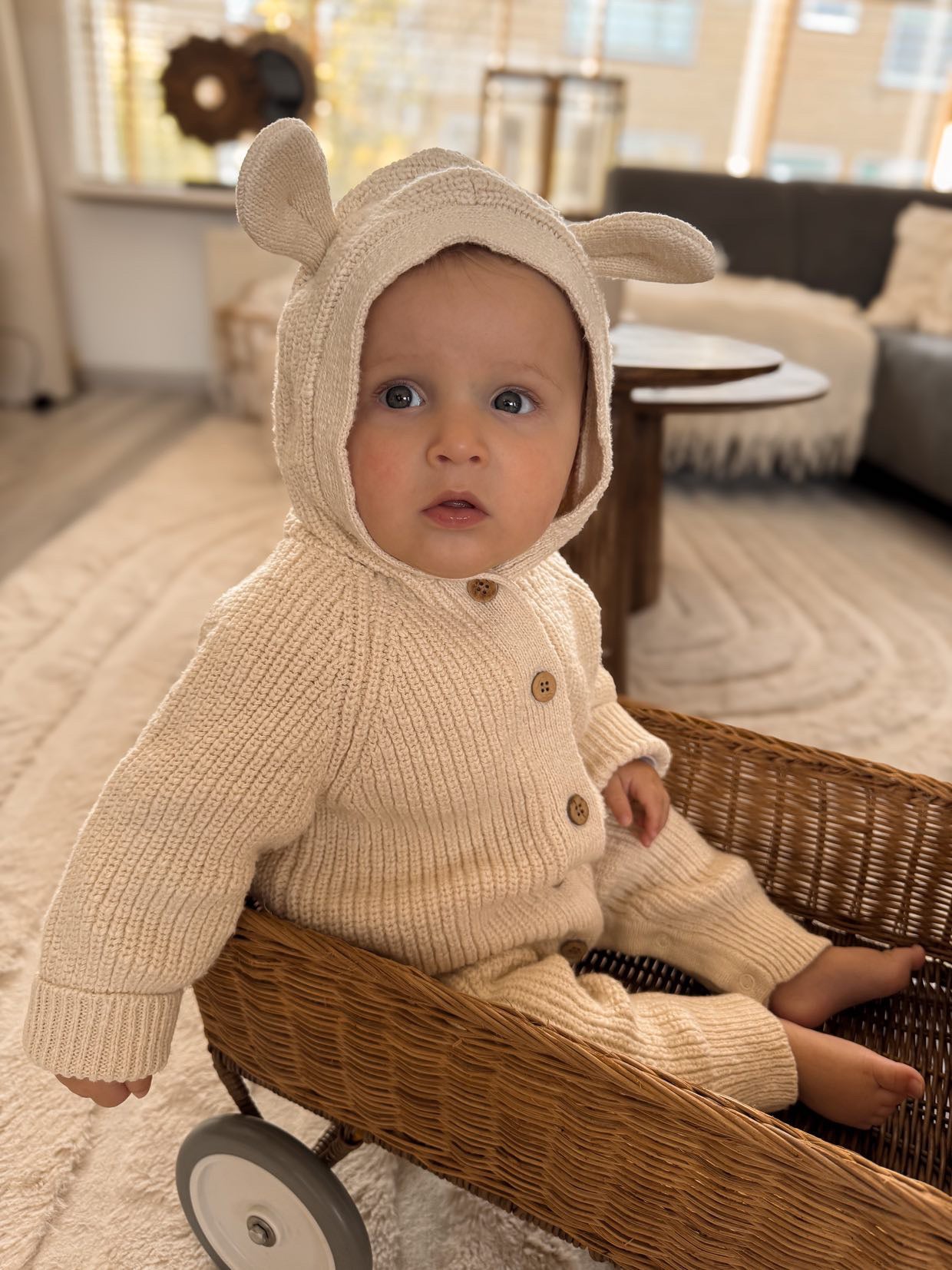 Beren Boxpakje | Oat